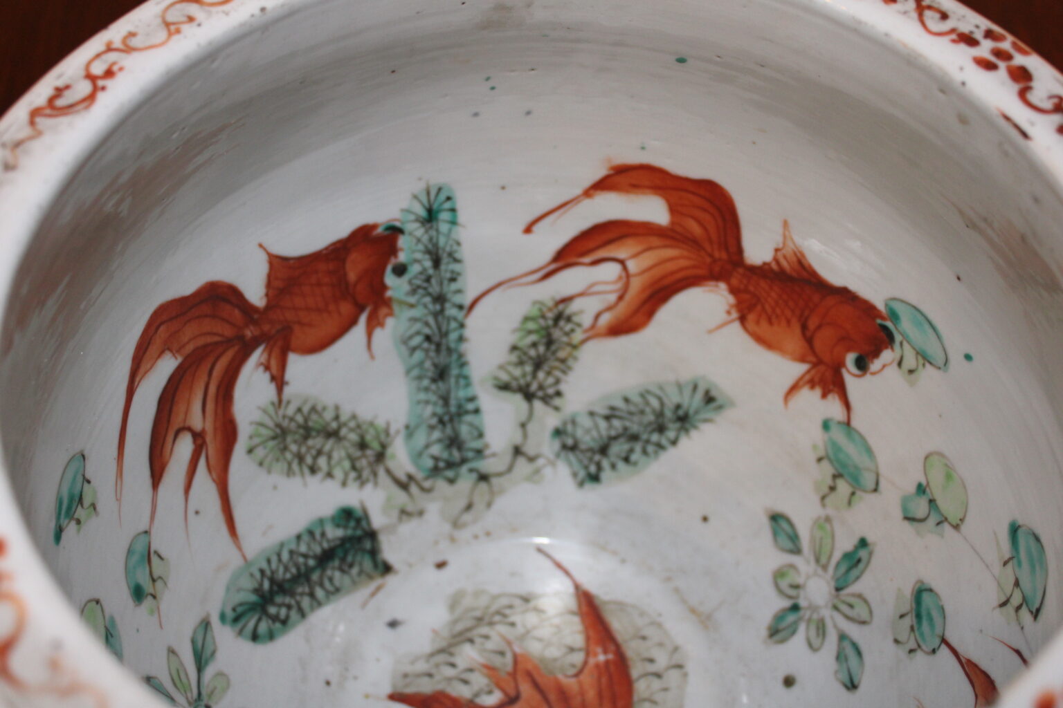 Chinese porcelain aquarium Damien Tison Gallery